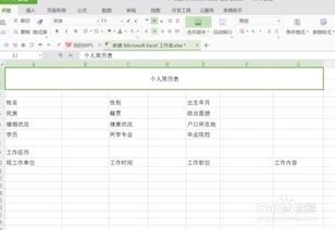 wps表格制作个人简历 