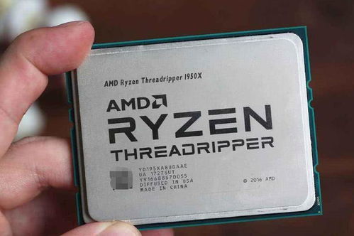 为什么说小白不建议去用amd