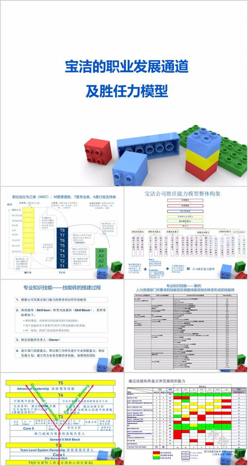 2020011期 职业晋升双通道设计方案 宝洁 华为案例 实施范本