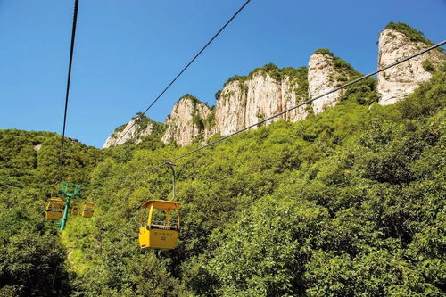 云顶山风景区浙江—大罗山十大景点？