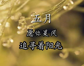 别轻易说不轻易放弃 