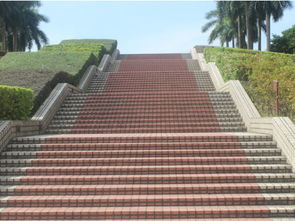 做梦梦见阶梯 台阶是什么意思 周公解梦 
