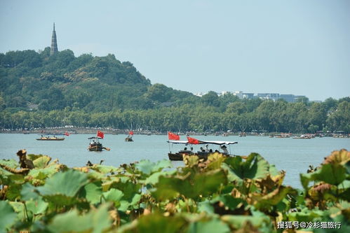 杭州十大景区排名 (杭州免费十大景区)