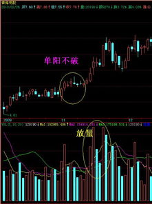 股票有哪些經典k線組合—股票基礎知識:常見的k線圖整理形態有哪些