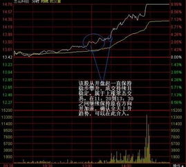 现在股市大盘是最低点吗。什么时候可以买进，反弹比较快的股票有哪些？