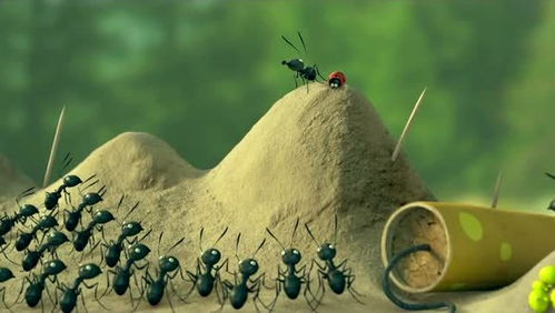 人类难道只是微不足道的蚂蚁