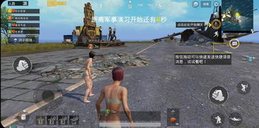 pubg和和平精英是一个游戏吗(和平精英是哪出的游戏)