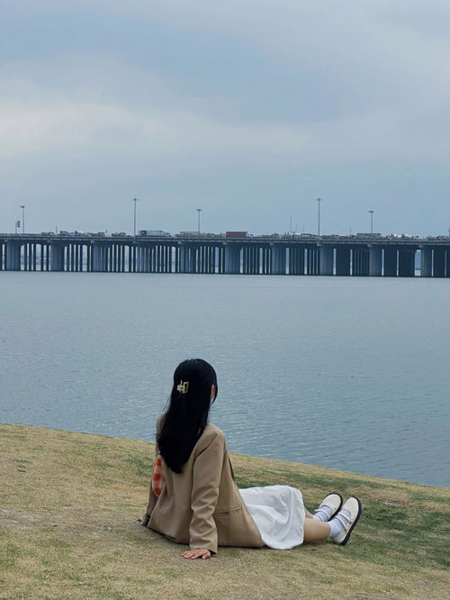 深圳拍照阴天也很美 摩天轮海景公园 