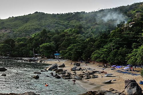 深圳哪里好玩旅游景区免费的(深圳哪个景区有免费停车场)