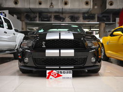 狂暴作俑者 福特野马Shelby GT500实拍 