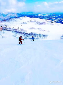 北海道雪景手机壁纸 图片搜索