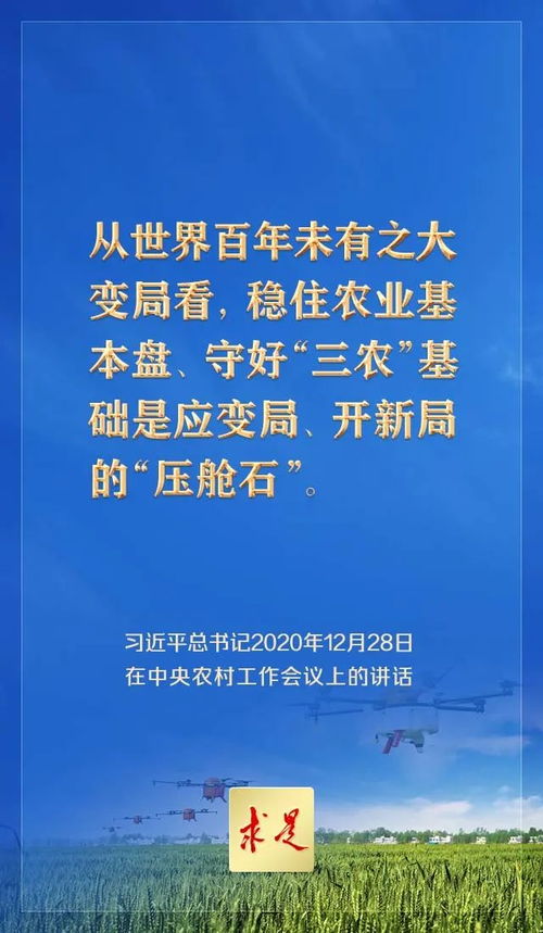 新征程上 三农 工作为何 极端重要