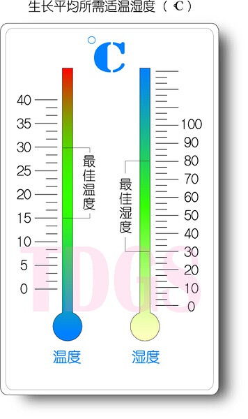 多肉植物盆栽最佳温度湿度示意图 图片出自 堆糖,美好生活研究所 