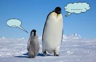 南极是世界上最冷的地方.常年平均气温是–25 .如图所示.一天.企鹅妈妈和小企鹅之间发生了一次有趣的对话.它们的部分说法如下.其中正确得是 A.小企鹅 妈妈.这么冷 