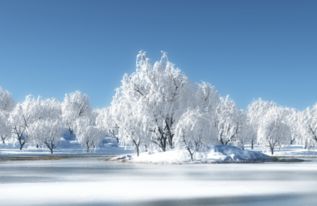 描述神农架大九湖雪后美景的句子