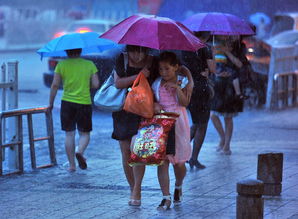 雨中情丝