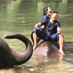 组图 向佐与 泰国李小龙 罕见同框 摆帅气武术姿势呼吁保护大象 