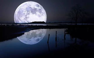 超自然奇观 广州史上最强 流星雨 群 魔性 超级月亮 本月降临 附拍摄指南 