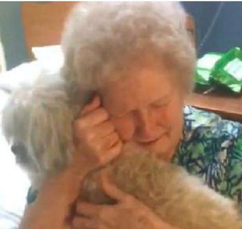 奶奶养了14年的狗狗去世,相似的狗狗出现之后,奶奶落泪了 