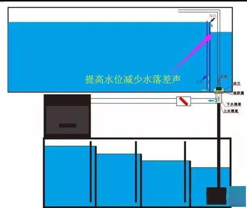 鱼缸过滤这么做,噪音消失了,便便全冲光