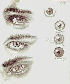 瞳孔颜色有几种（最稀有的瞳孔颜色）