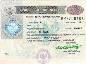 印尼跟团游费用攻略省钱技巧大揭秘！ (2)（印尼旅游签证费用）