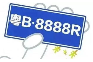 深圳汽车限购，本人符合购买条件，但不懂如何竞拍，深圳有没有车牌代拍的公司？帮忙查找几个，谢谢！……