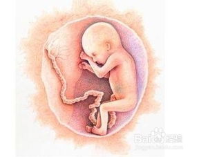 孕晚期若出现这3种典型“信号”，可能是胎儿脐带绕颈，孕妈别大意是哪3种