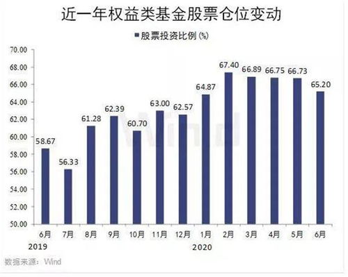 哪里可以看到 基金仓位的信息？