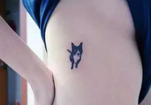 韩国最近流行宠物纹身,没想到纹身可以这么萌萌哒
