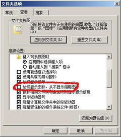 win10文件夹中pdf预览不显示