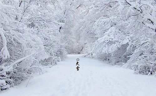 2021大雪文案简短创意古风 二十四节气大雪祝福语图片大全 