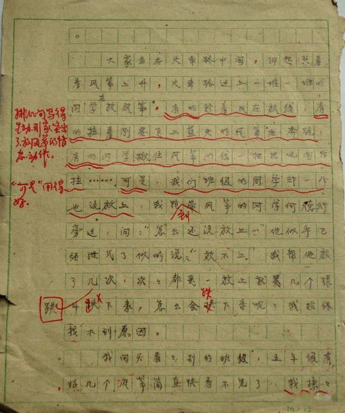 初见杨老师的作文