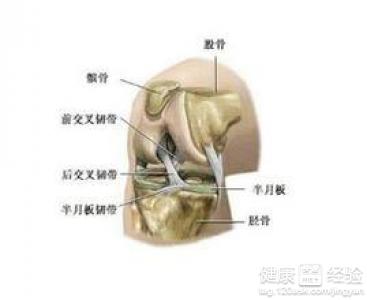右膝内侧半月板损伤右内侧副韧带撕裂怎么办