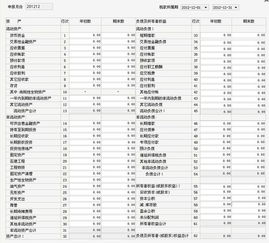 国税报税里的资产负债表