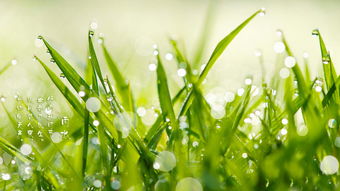 阴雨灾害生活常识(雨灾的危害)