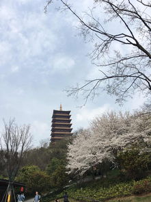 牛首山景区攻略自驾游中的牛首山景区攻略(牛首山景区有免费停车场吗)