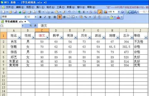 WPS表格教程 快速统计学生成绩