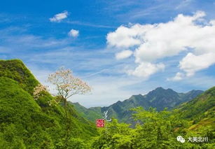 四川绵阳北川贯岭乡