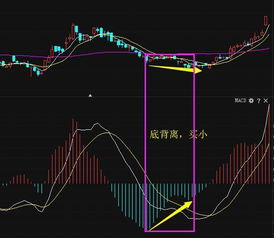 macd红柱绿柱什么意思