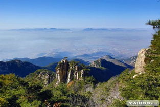 去山东旅游最值得去的十大景点,不去真的很可惜 