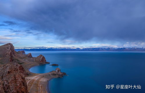 生来孤独,又活得冷血的三大星座,一身傲骨,从不向生活低头 