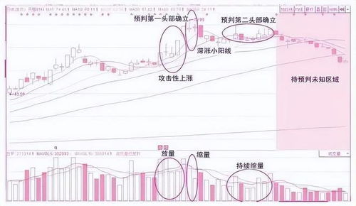 底部缩量上涨