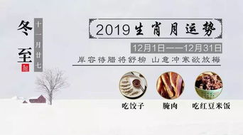 2019年12月鼠生肖运势详解