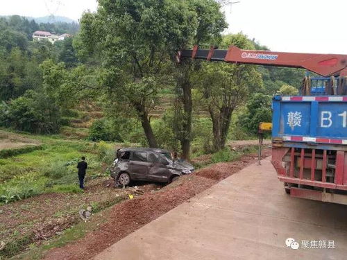 赣州赣县梅林大街免费停车场赣州知音花海怎么去,详细地图