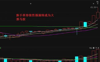 请问在那里可以看股市换手率排名?