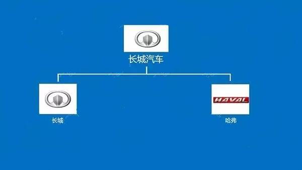 查重与字数：你真的了解它们的关系吗？