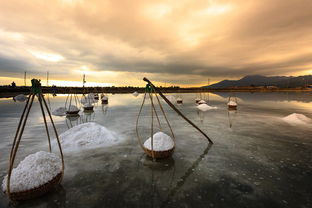 曹操观沧海，探寻历史的汪洋，曹操观沧海是什么海水