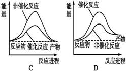 1，水的煮沸过程和水的分解过程从物质变化的角度看有什么不同