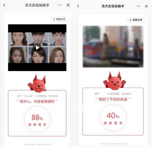 今日头条灵犬集齐四大反低俗功能,成内容创作者必备工具